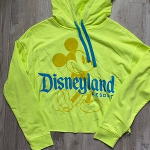 NWOT - Disneyland Crop Hoodie